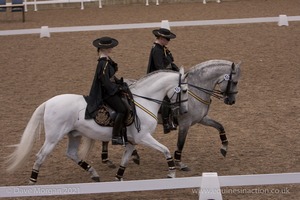 Lusitano Breed Society of Great Britain Show - Hartpury College - 27th June 2009